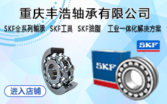 SKF軸承